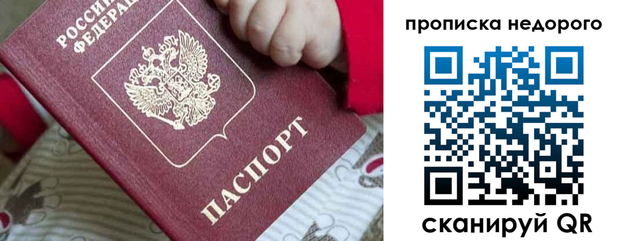 прописка в Лыткарино